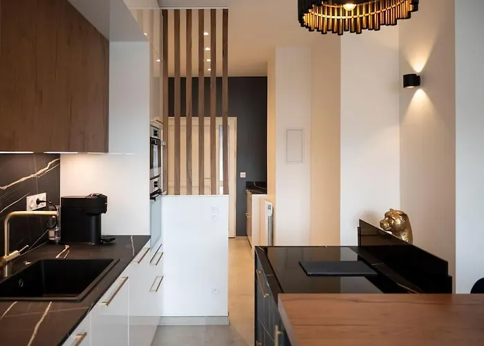 Grammont 5 - Appartement Luxueux A Tours